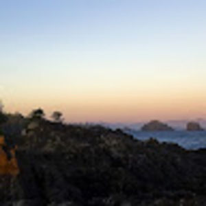 Meet your Posher, Willie